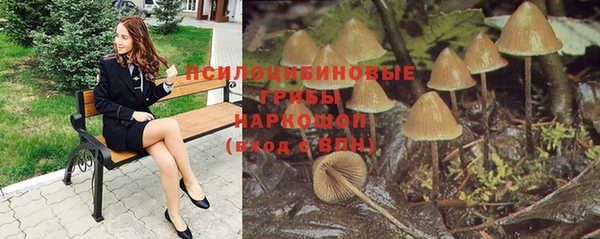 дживик Баксан