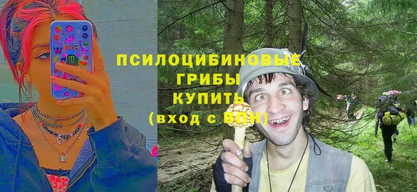 дживик Баксан