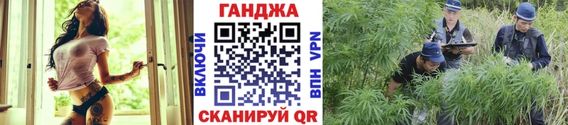 Купить где  Межгорье  МАРИХУАНА семена 